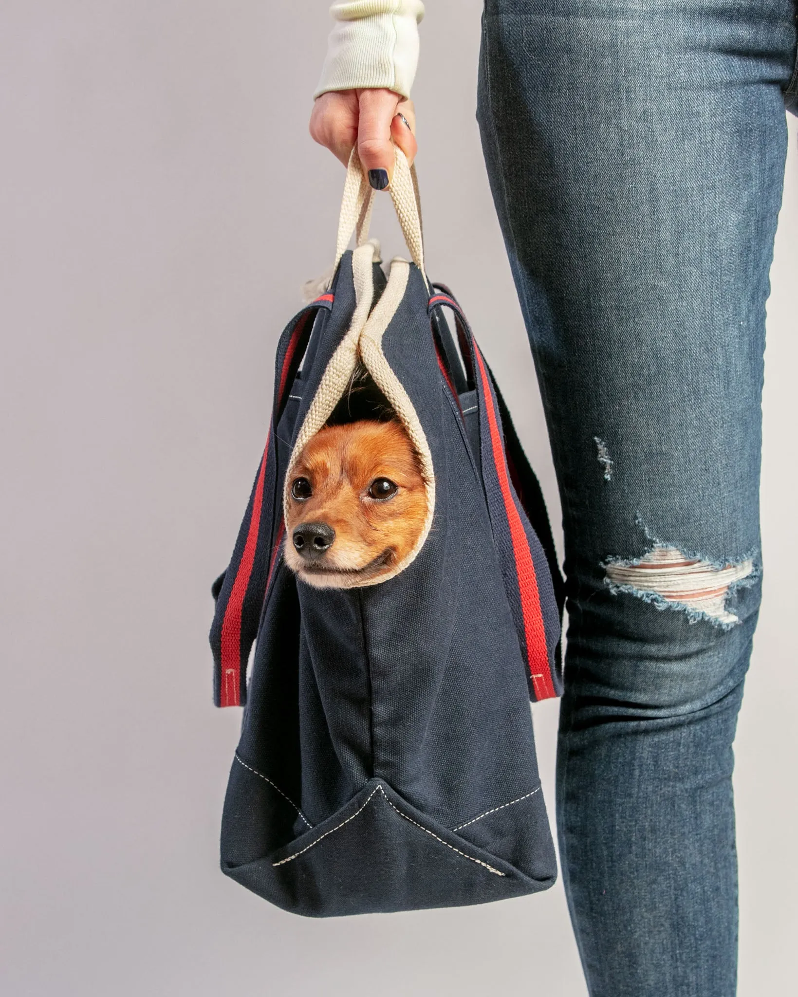 City Carrier Dog Bag in Size 2