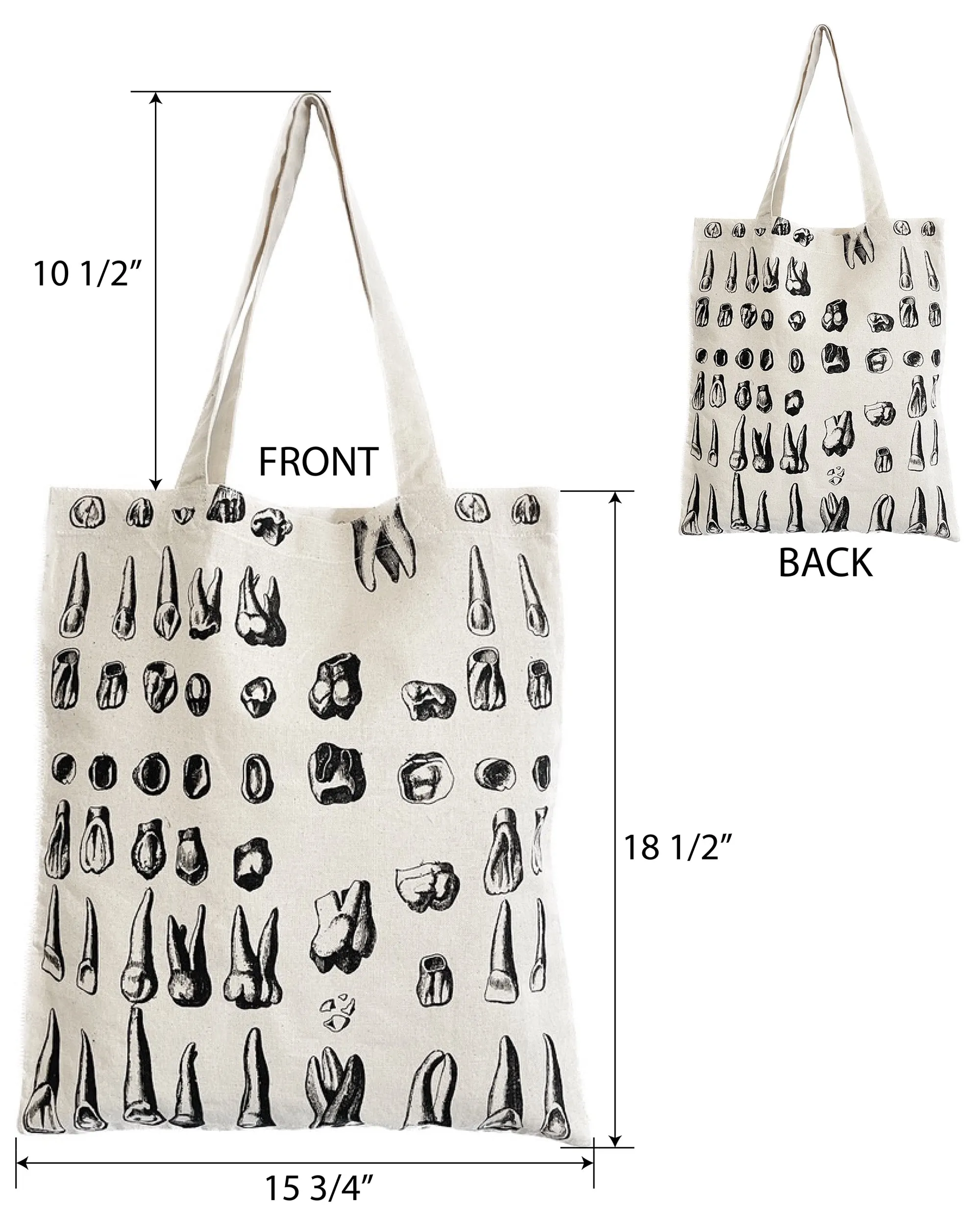 Teeth Anatomy Eco Canvas Tote Bag