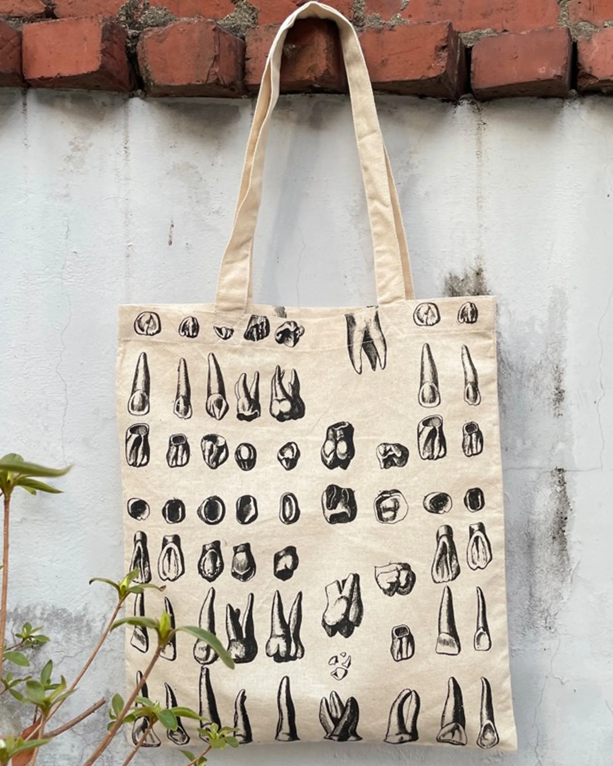 Teeth Anatomy Eco Canvas Tote Bag